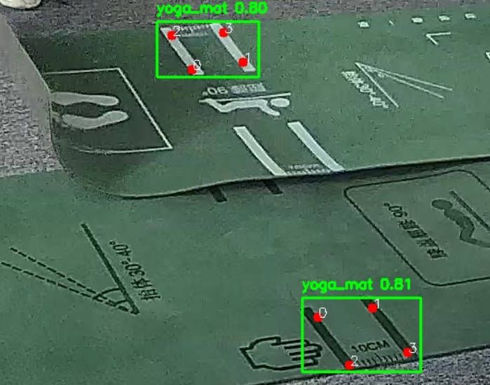 自定模型RKNN推理结果